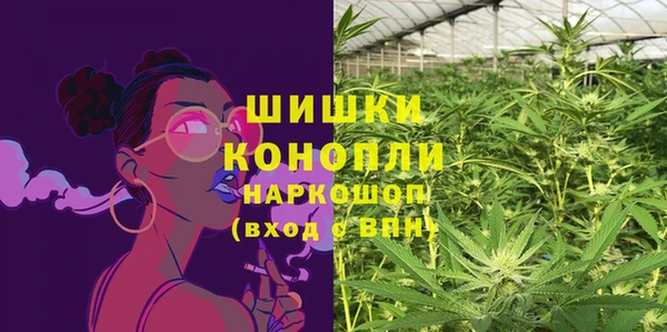 тгк Бородино