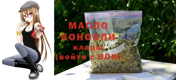 тгк Бородино