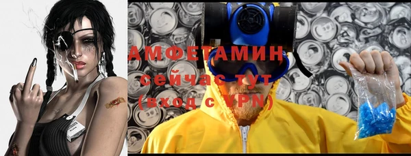 тгк Бородино