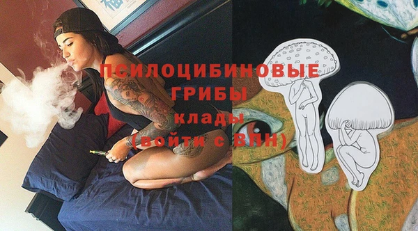 бошки Сосновка